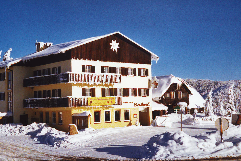 Отель Gaberlhaus Salla Экстерьер фото